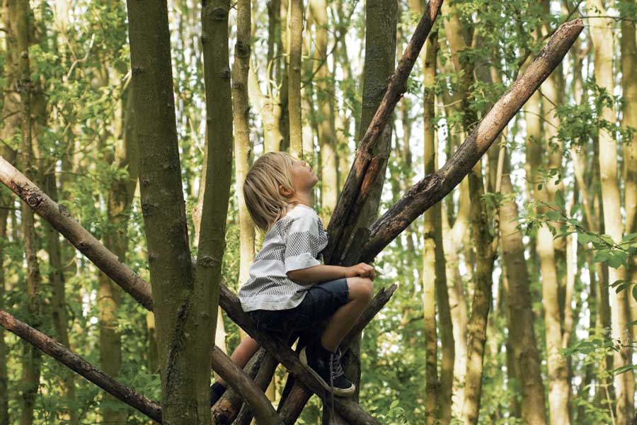 Een kind zit tussen de takken van een boom in het speelbos en kijkt op