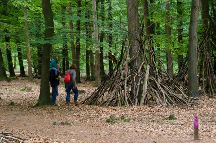 wandelaars in bos Hondsrug