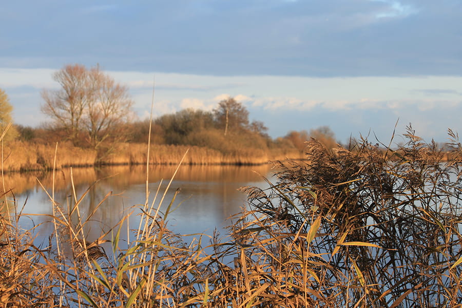 meer Driesumer Mar in Noard-Fryslân