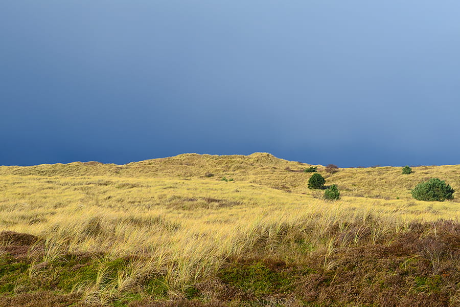 duin met donkere lucht op Vlieland