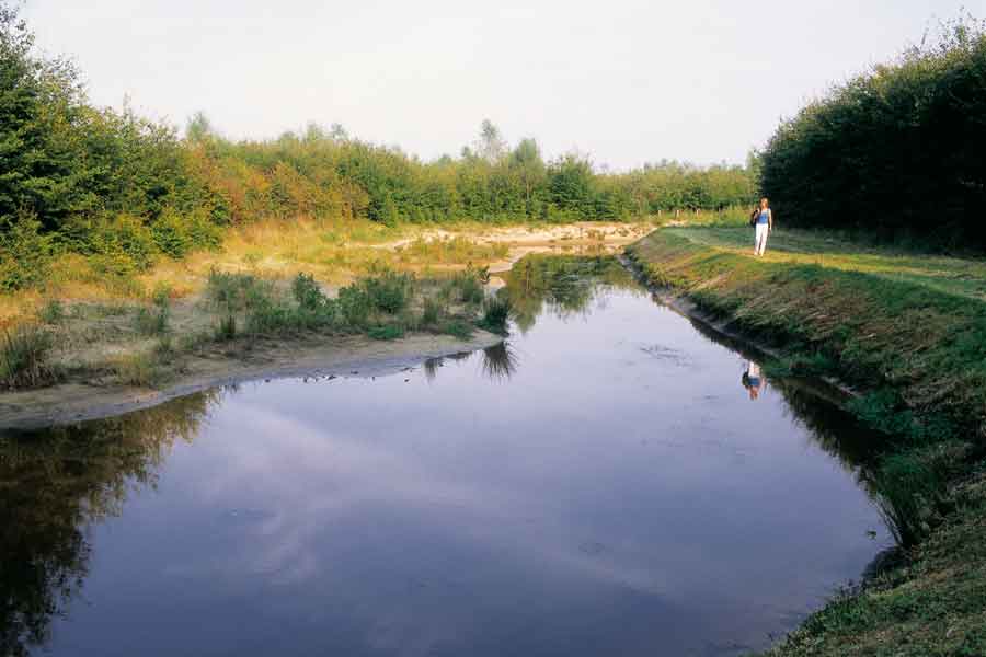 wandelen in Sellingen, Westerwolde
