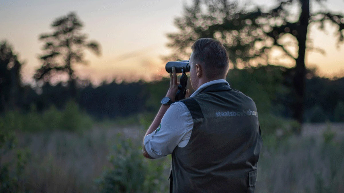 Boswachter Schoorlse Duinen tijdelijk