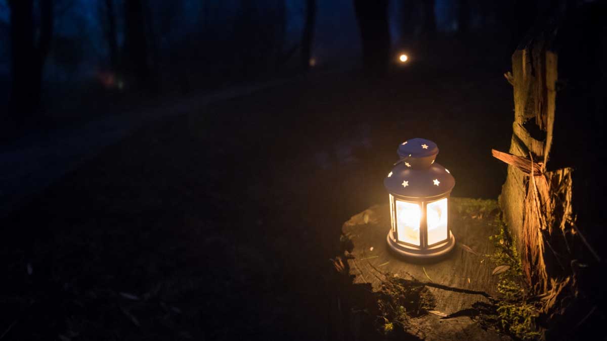 Brandende lantaarn op boomstronk in een donker bos
