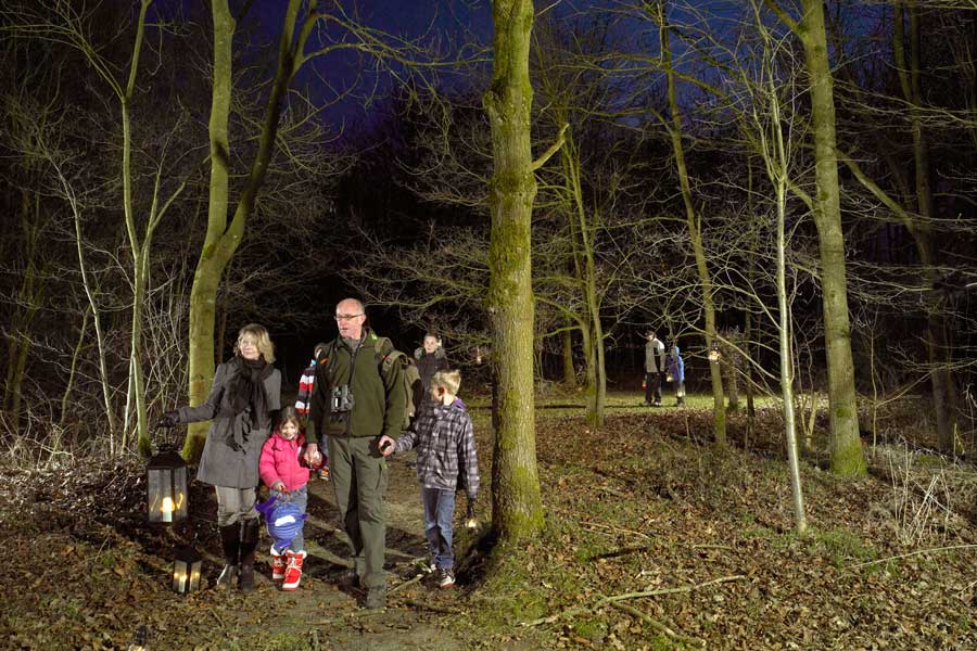 Boswachter met kinderen loopt in het donker door een bos