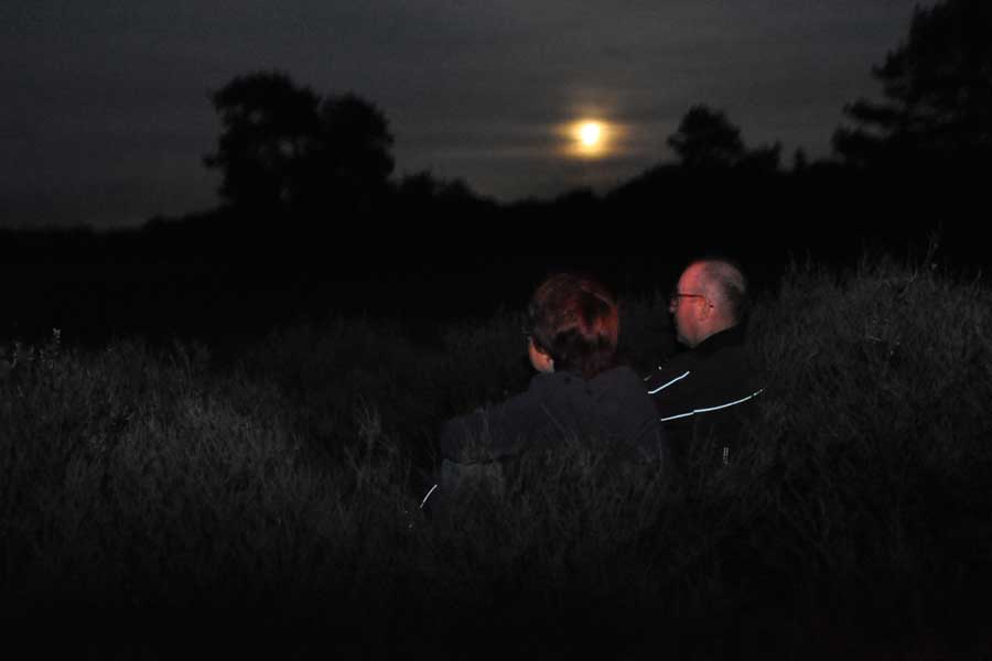 Een echtpaar kijkt in een nachtelijk natuurgebied naar de volle maan
