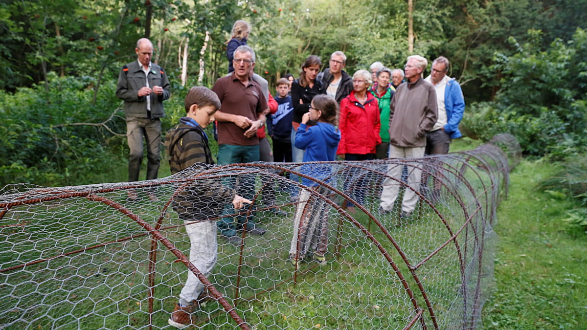 Uitleg bij de vangarm in de eendenkooi