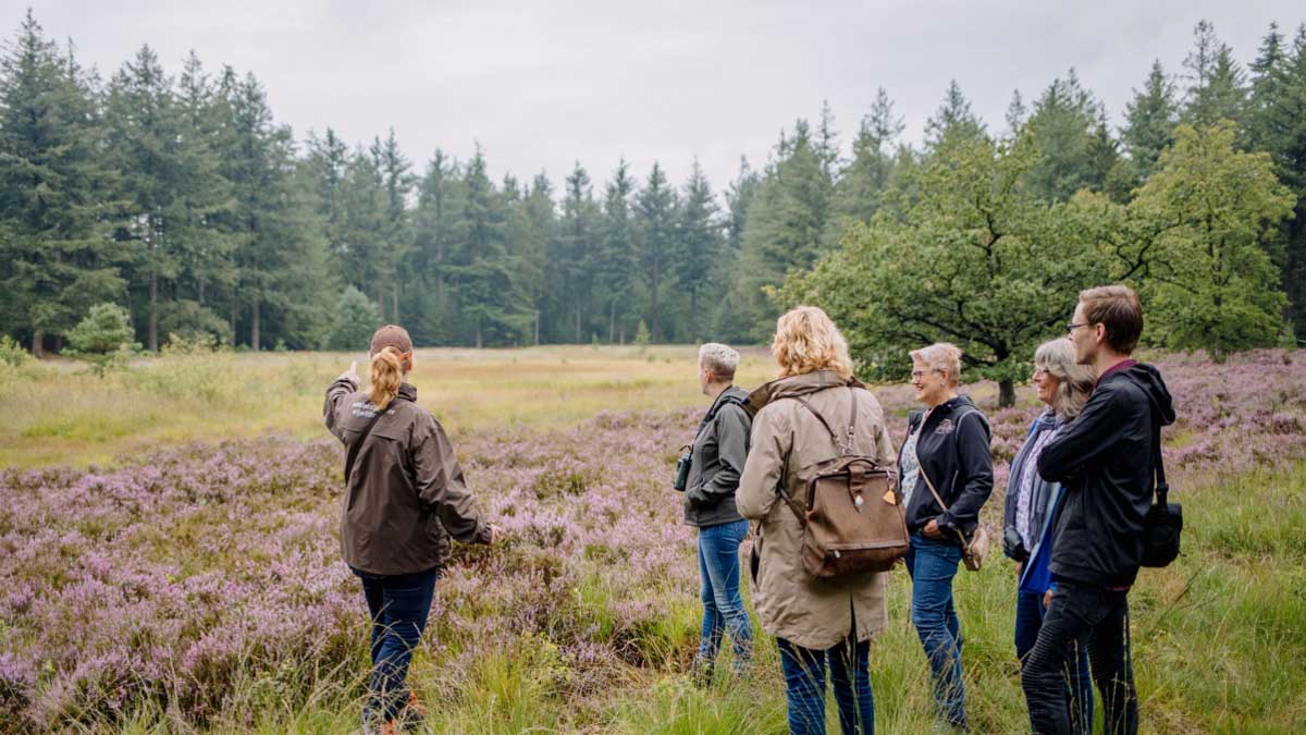 Groep met gids op de Hondsrug