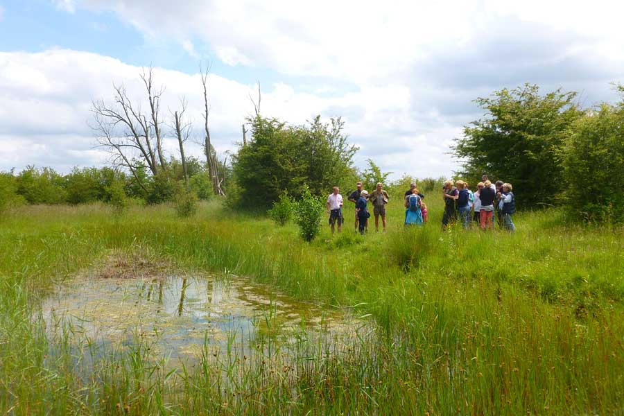 Een groep mensen houdt stil bij een vennetje tijdens een wandeling door een natuurgebied