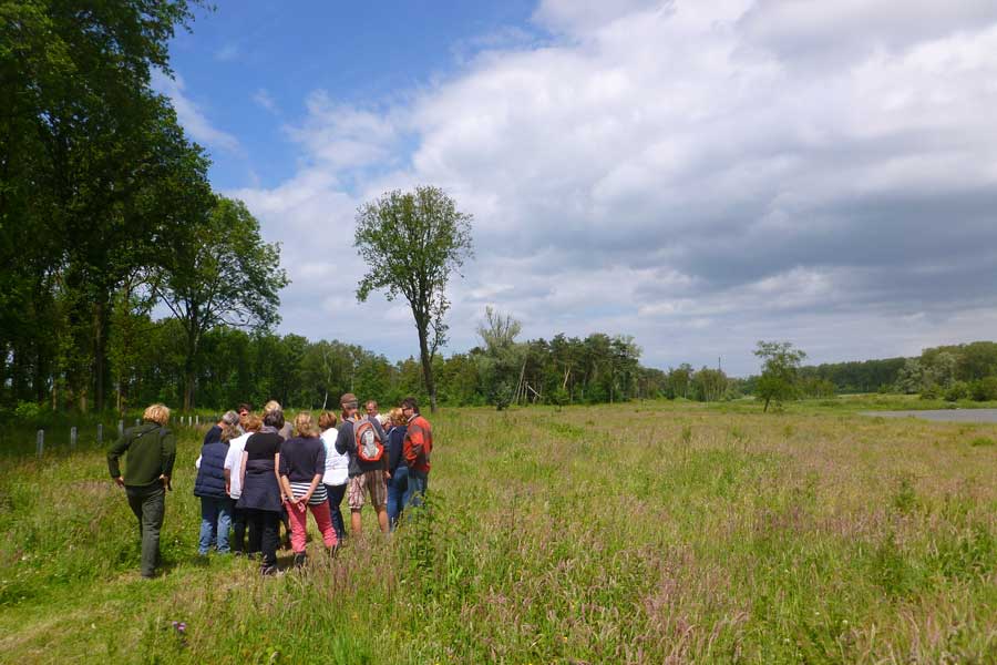 Een groep mensen krijgt uitleg van een boswachter tijdens een wandeling door een natuurgebied