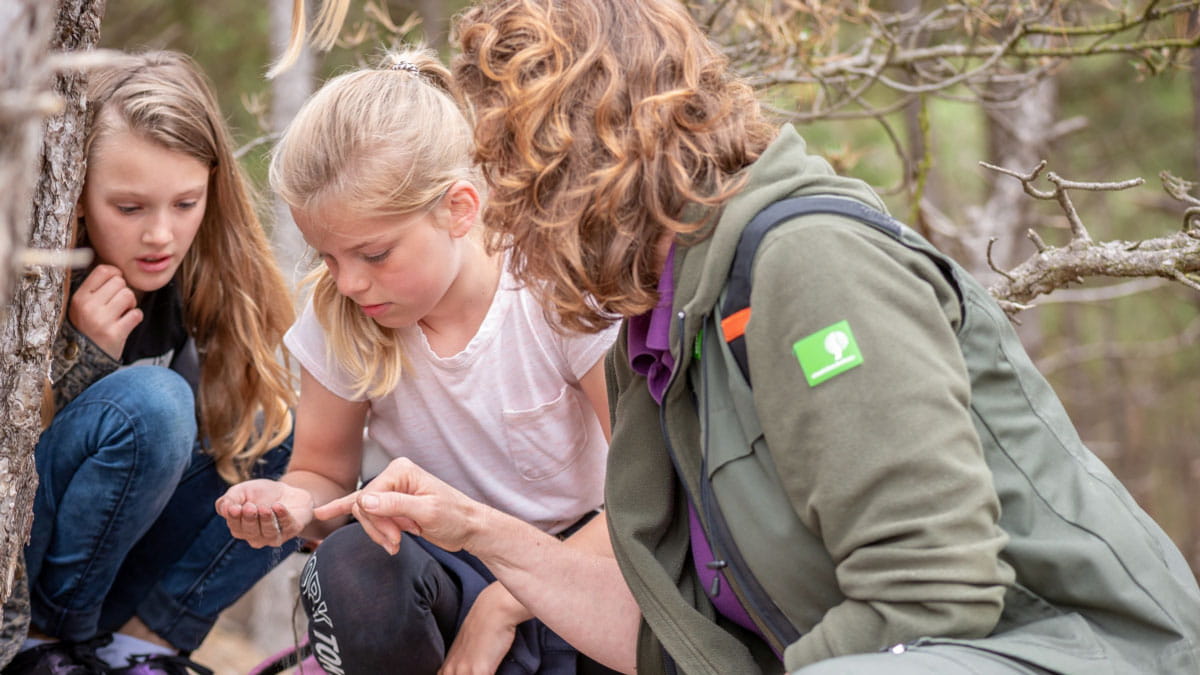Boswachter legt kinderen wat uit Boswachter legt kinderen wat uit