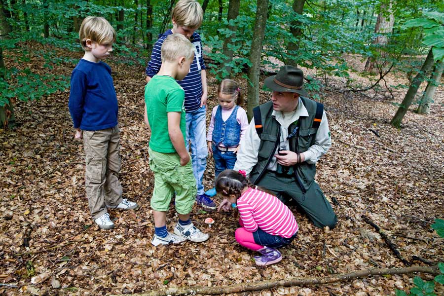 Een boswachter laat iets zien in het bos aan een groepje jonge kinderen