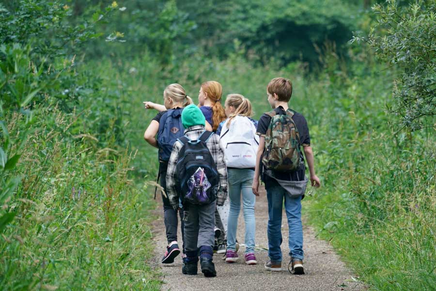 Groepje kinderen wandelt over pad door rietland