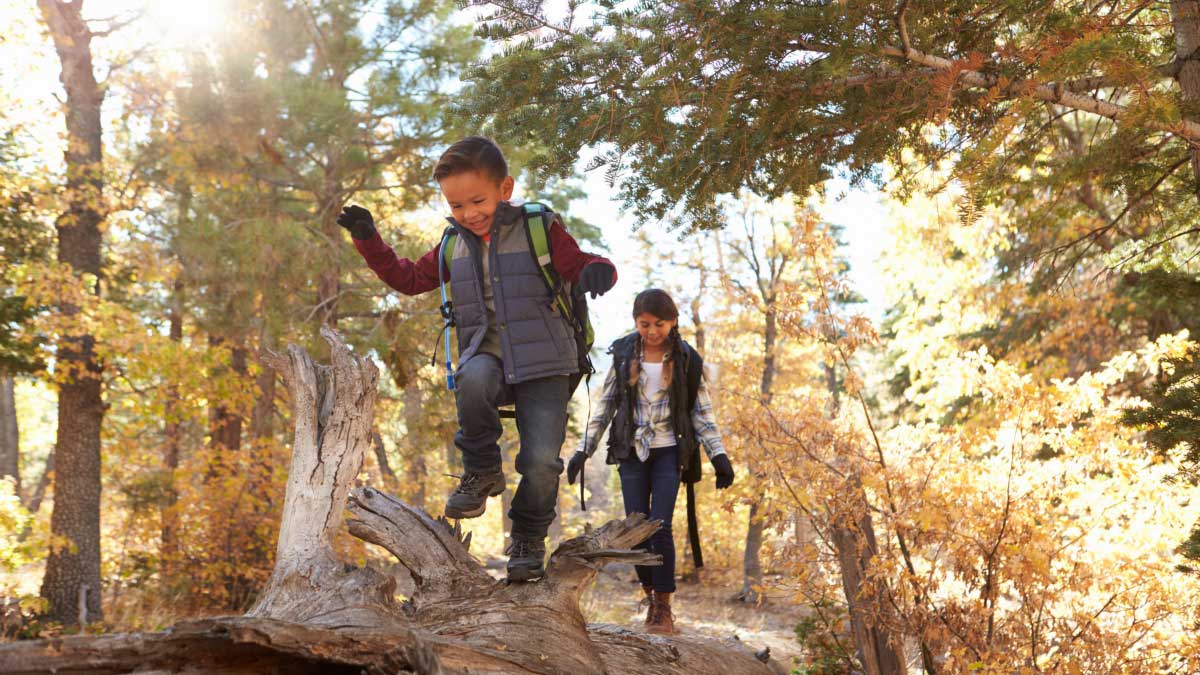 Kinderen spelen op boomstam in de herfst Kinderen spelen op boomstam in de herfst