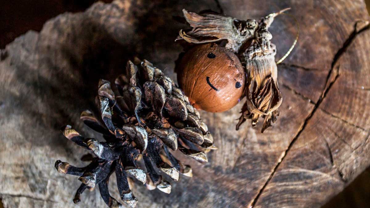 Knutselen met dennenappels