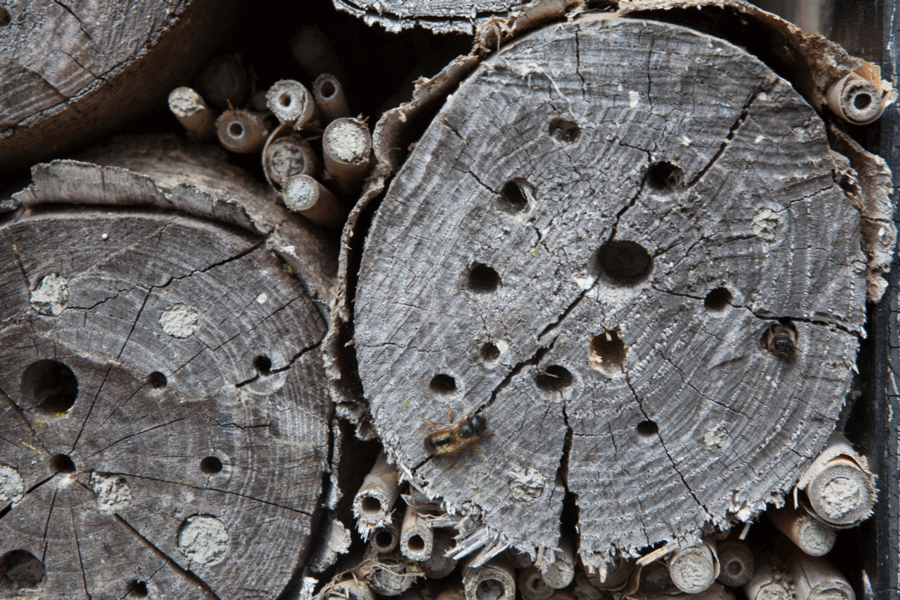 Close-up insectenhotel met bij
