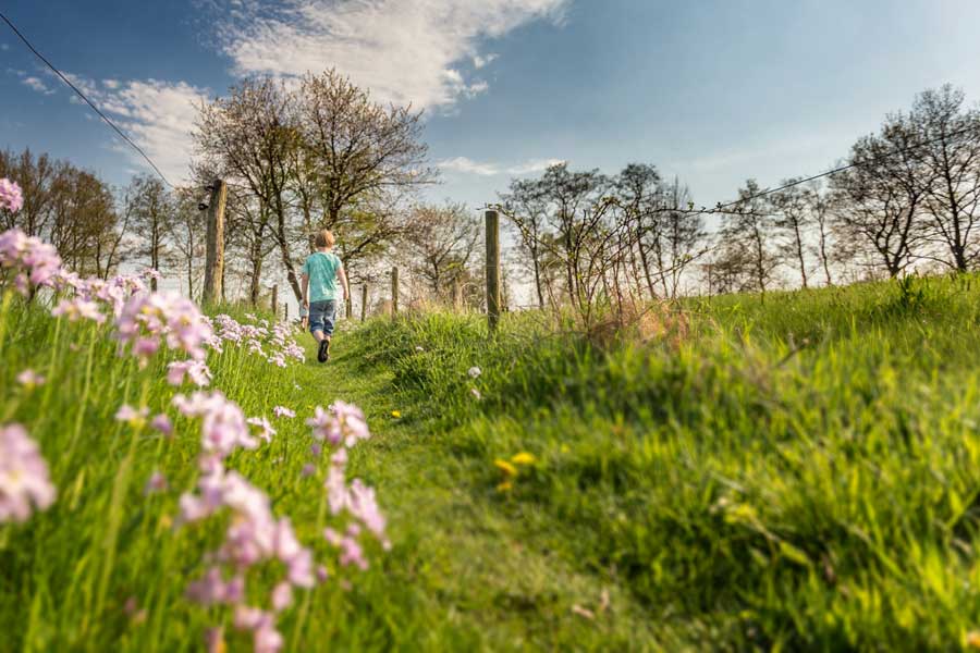 Kind in de lenteweide