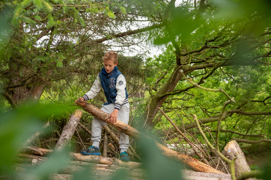 Kind speelt met hout in de Schoorlse Duinen