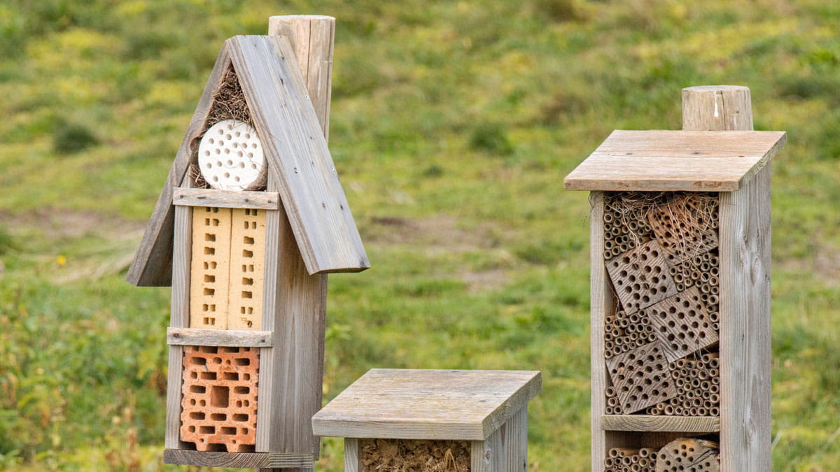 insectenhotel