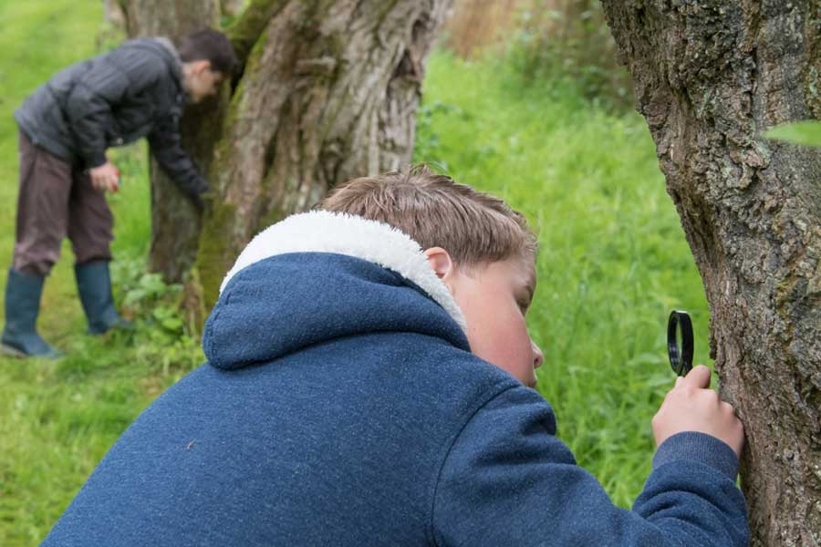 Jongen onderzoekt boom met loep