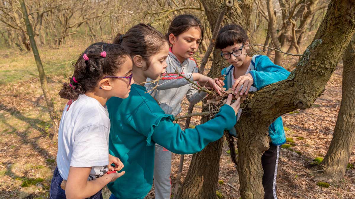 Meisjes onderzoeken stam van de boom