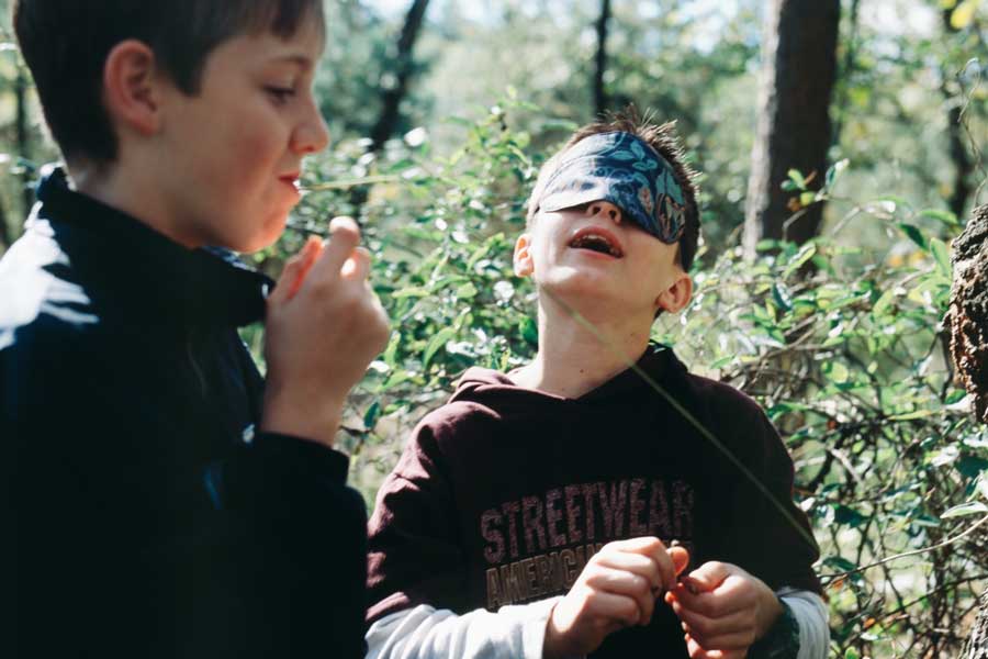 Een jongen met een blinddoek voelt aan een tak in het bos