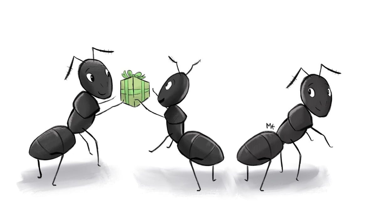 Mieren spelen met een cadeautje