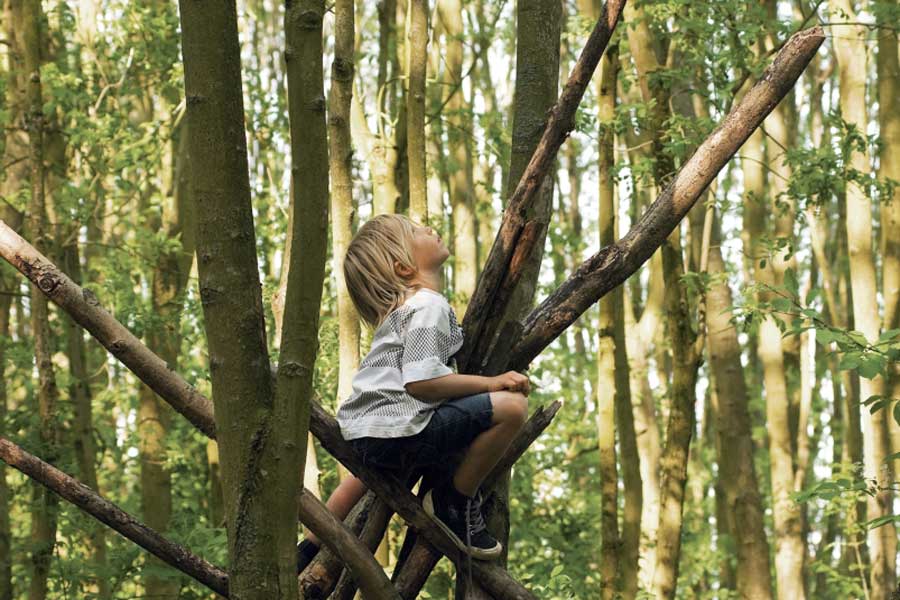 Een kind zit tussen de takken van een boom in het speelbos en kijkt op
