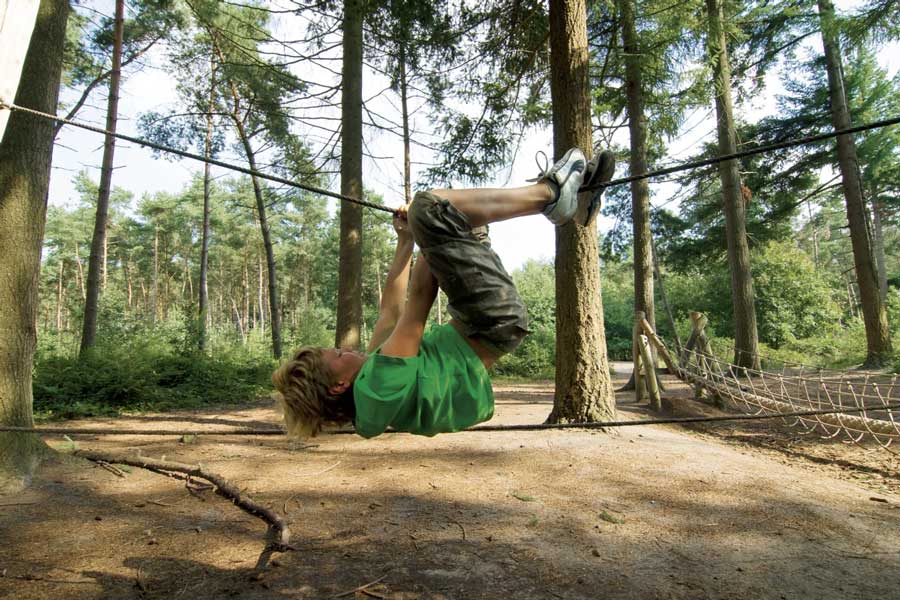 Activiteiten in het Drents-Friese Wold