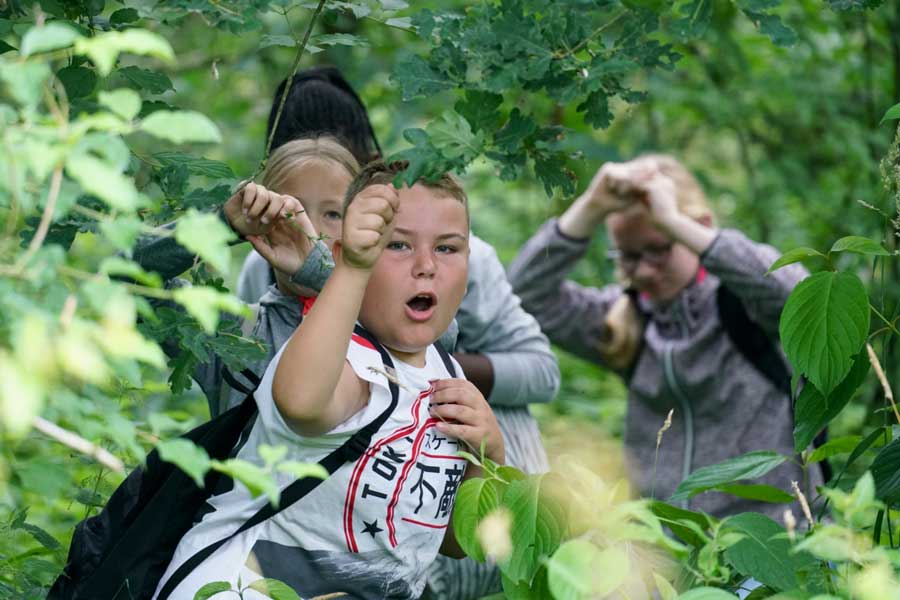 Kinderen struinen door struikgewas