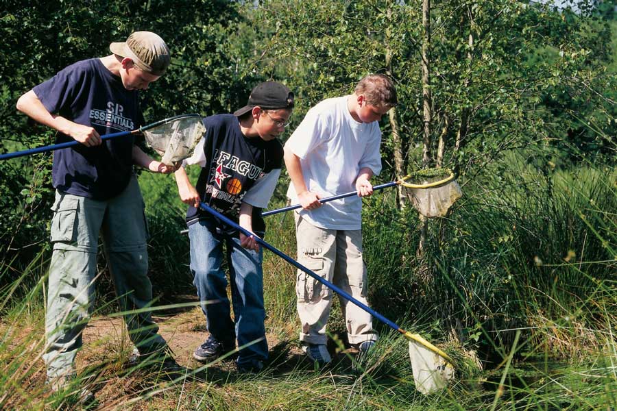Kinderen zoeken met een schepnet naar waterdiertjes in een sloot
