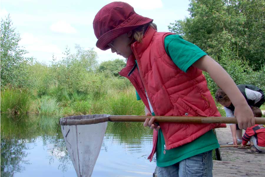 Een meisje bekijkt welke waterdiertjes ze in haar schepnet heeft gevangen