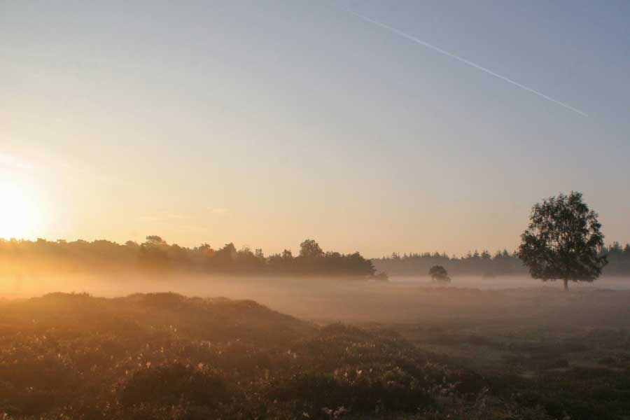 Zonsopkomst heideveld