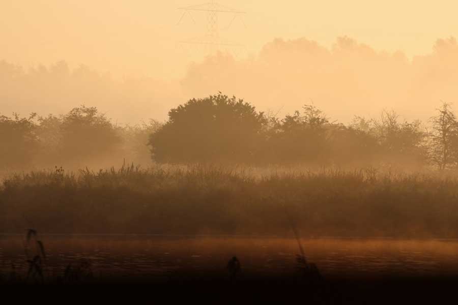 Zonsopkomst boven moeras