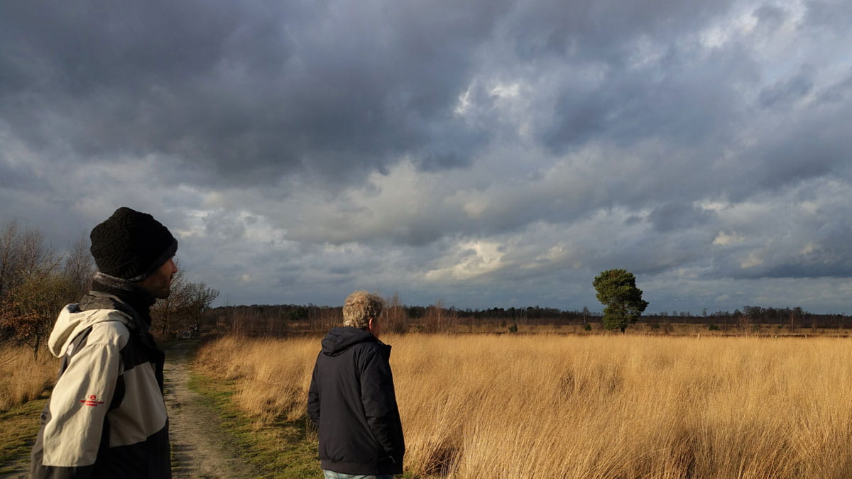 winterwandeling groote peel