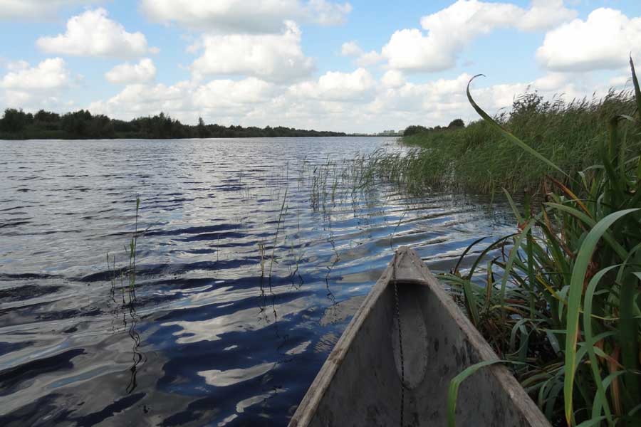 Uitzicht op een meer vanuit een kano die in het riet is aangemeerd