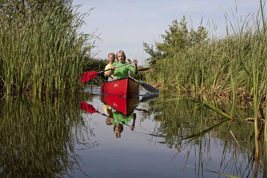 Een gezin vaart met een kano door het riet