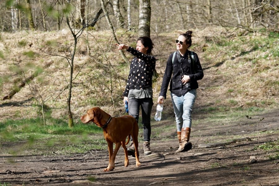wandelaars met hond in bos