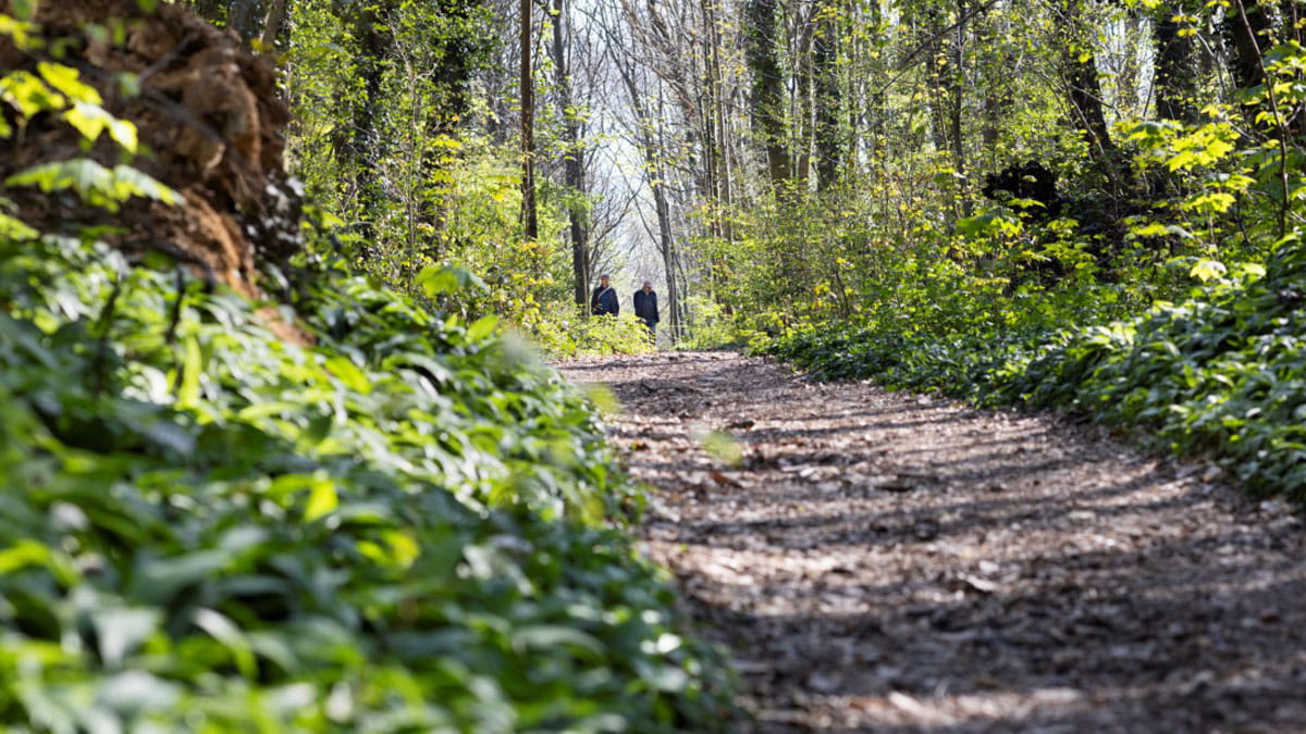 zuid-limburg-wandelaars