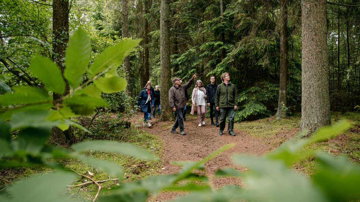wandelen met boswachter