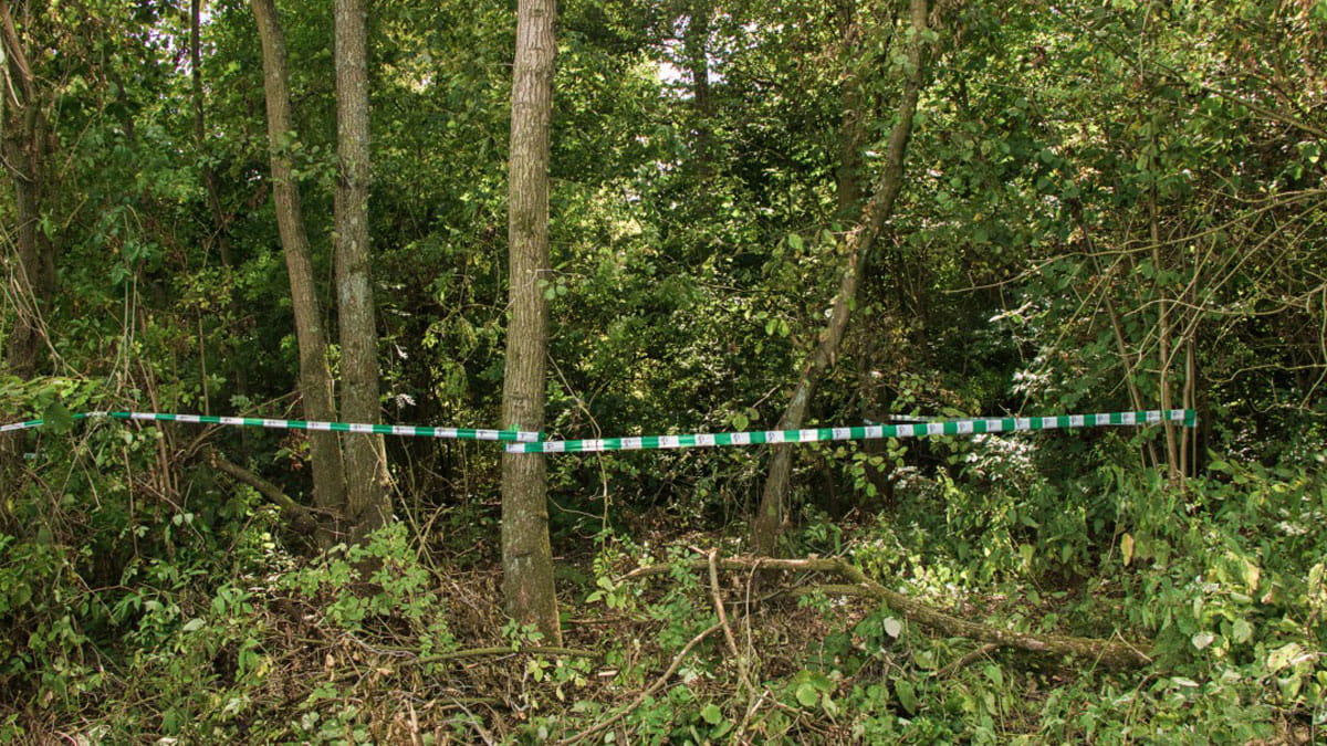 Met de boswachter door het Abtswoudse bos