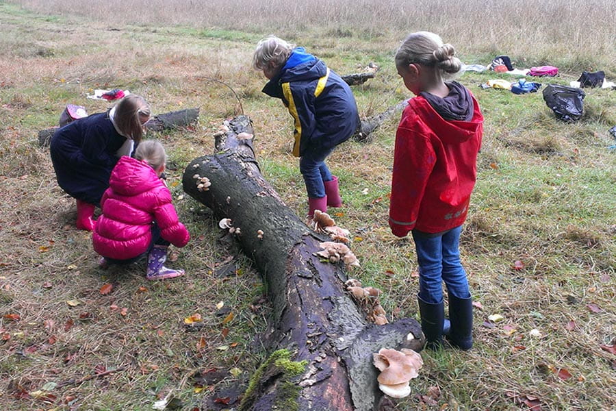 kinderen bekijken boomstam met paddenstoelen