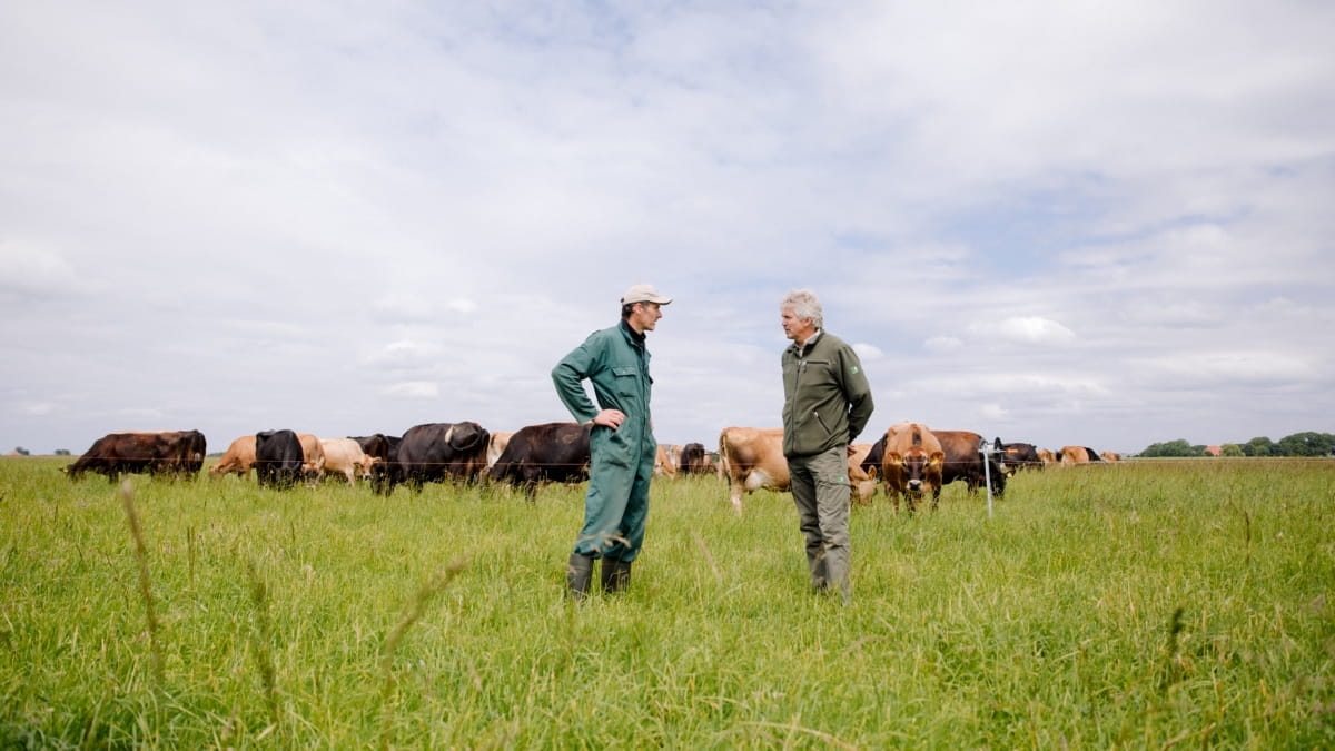 boer en boswachter in weide met koeien