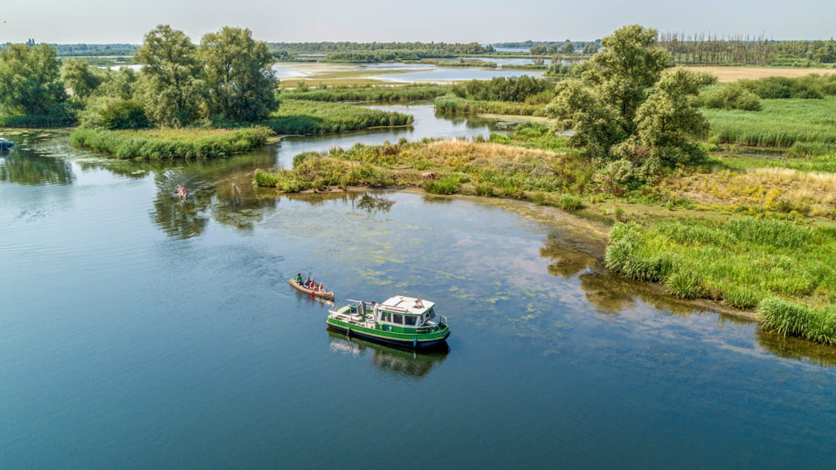 Ontdek De Biesbosch