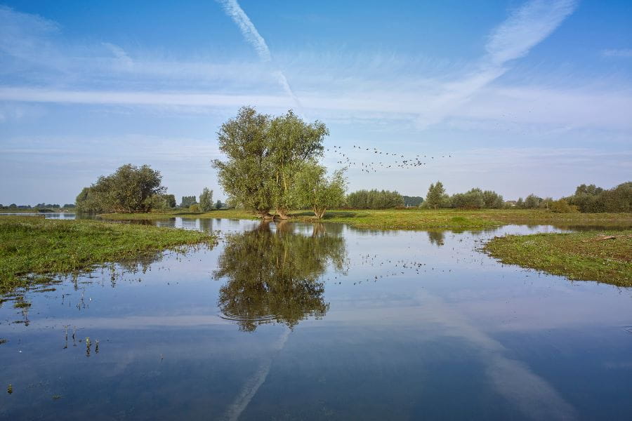 Uitzicht op de Duursche Waarden