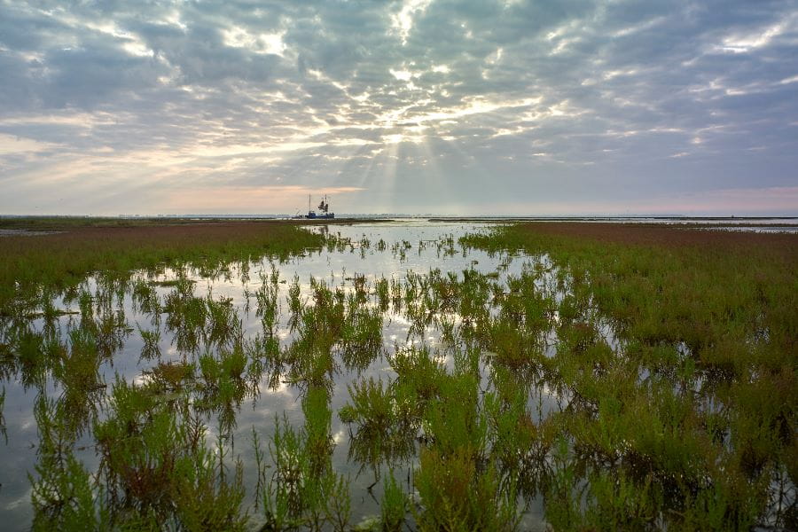 Grevelingenmeer