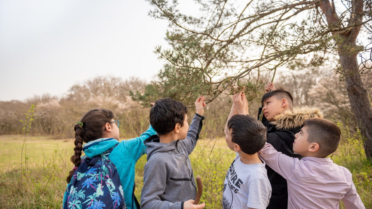 Puno Uitverkoop geluk 5 vragen over natuureducatie