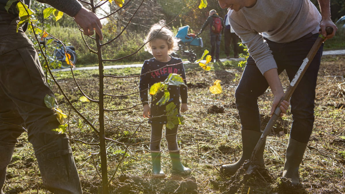 Groningen krijgt eerste kinderbos in Sellingen