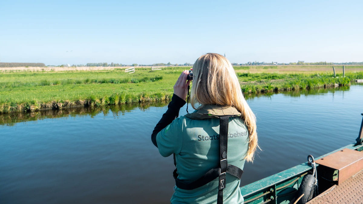 Kom langs bij de boswachter in het veenweidegebied van Westzaan