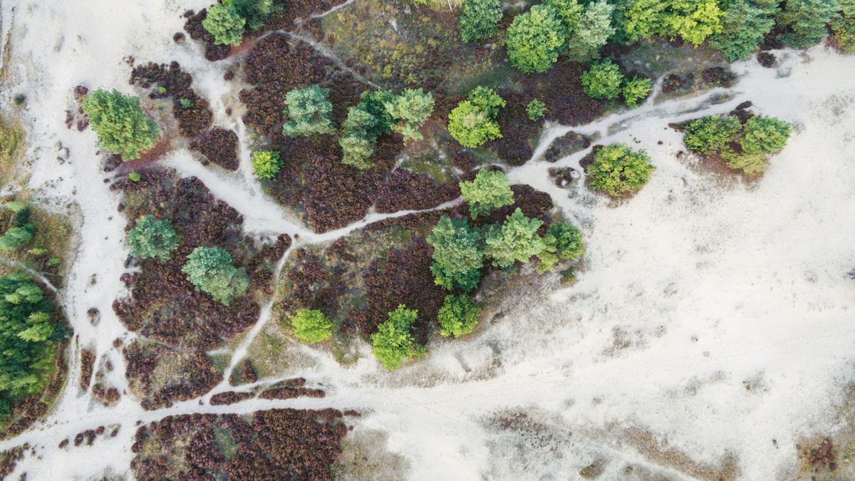 Luchtfoto Bob Luijks van NP Loonse en Drunense Duinen