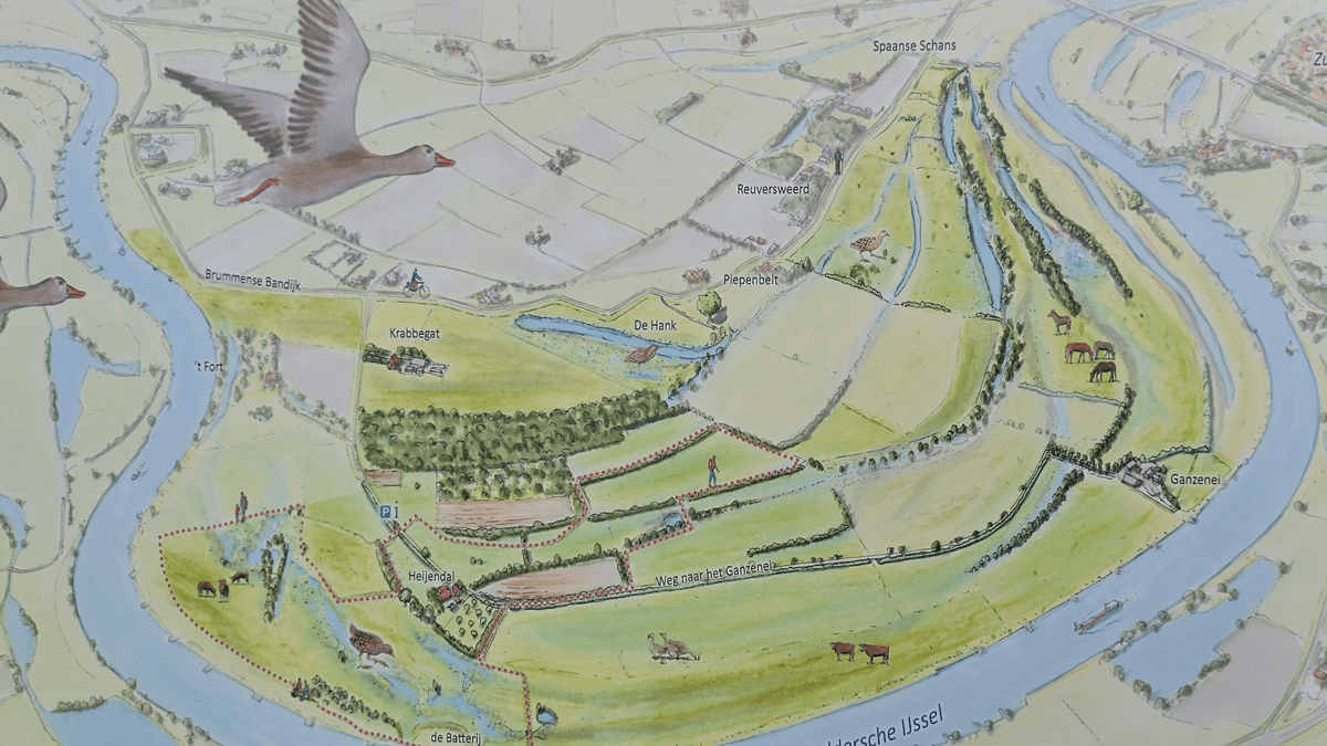 Nieuw ingericht landschap bij Cortenoever
